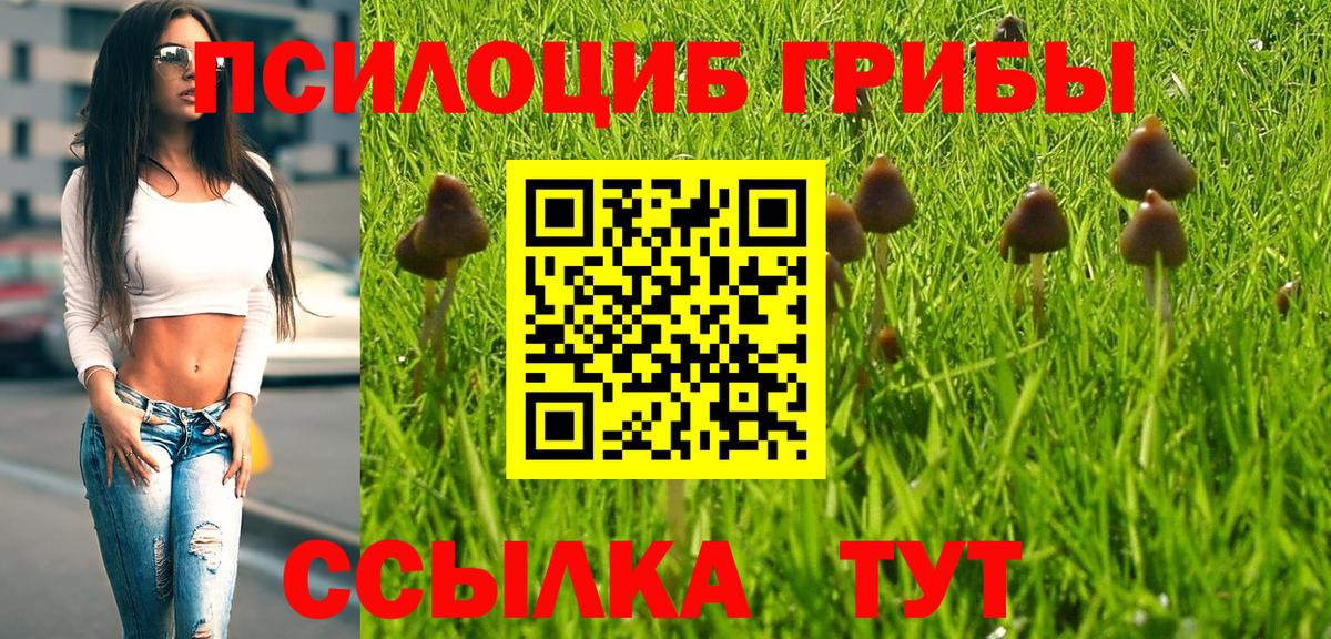 Псилоцибиновые грибы прущие грибы  Галлюциногенные грибы MAGIC MUSHROOMS  Вход с VPN  Назрань 
