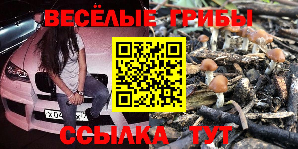 Псилоцибиновые грибы мицелий Назрань